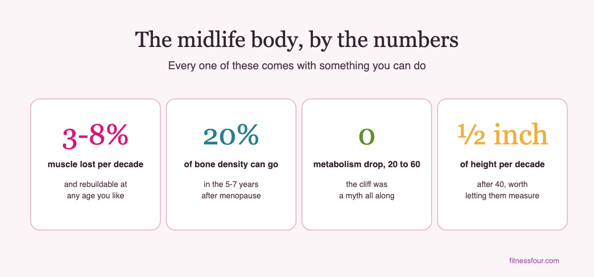 The midlife body by the numbers: muscle, bone, metabolism, and height